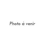 photo_neutre